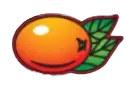 Sinaasappel